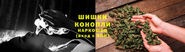 PSILOCYBIN Балабаново
