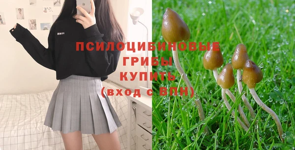 МДМА Белокуриха