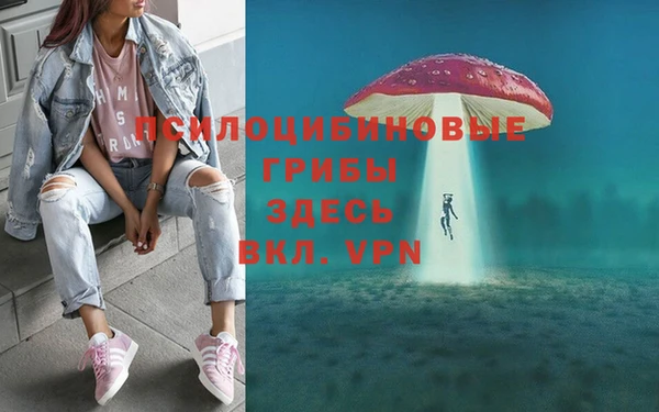 не бодяженный Беломорск